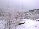 Іван Ожоганич фотография #29 (источник - https://vk.com/id142548866)