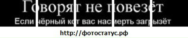 Андрій Dukuy фотография #40 (источник - https://vk.com/id35210123)