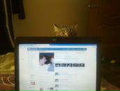 Фотография Скорика Виталия