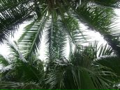 Фотография Величко Глеба