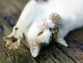 Фотография Панюшкиной Елены