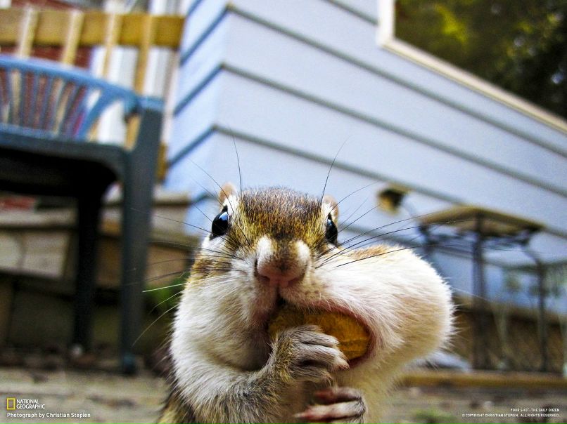 New Man фотография #11