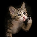 Анастасія Гринюк фотография #12 (источник - https://vk.com/id73623447)