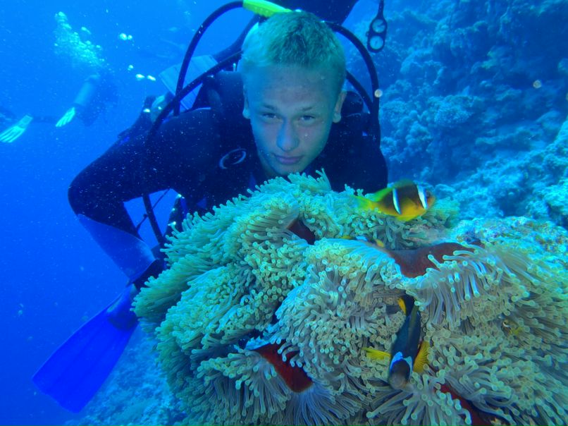 Vit Mi фотография #6