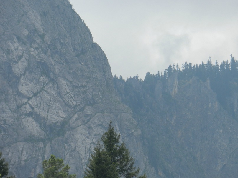 Дмитрий Толстых фотография #38