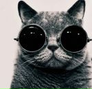 Фотография Згировского Игоря