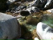 Дмитрий Неруш фотография #38 (источник - https://vk.com/id1175015)