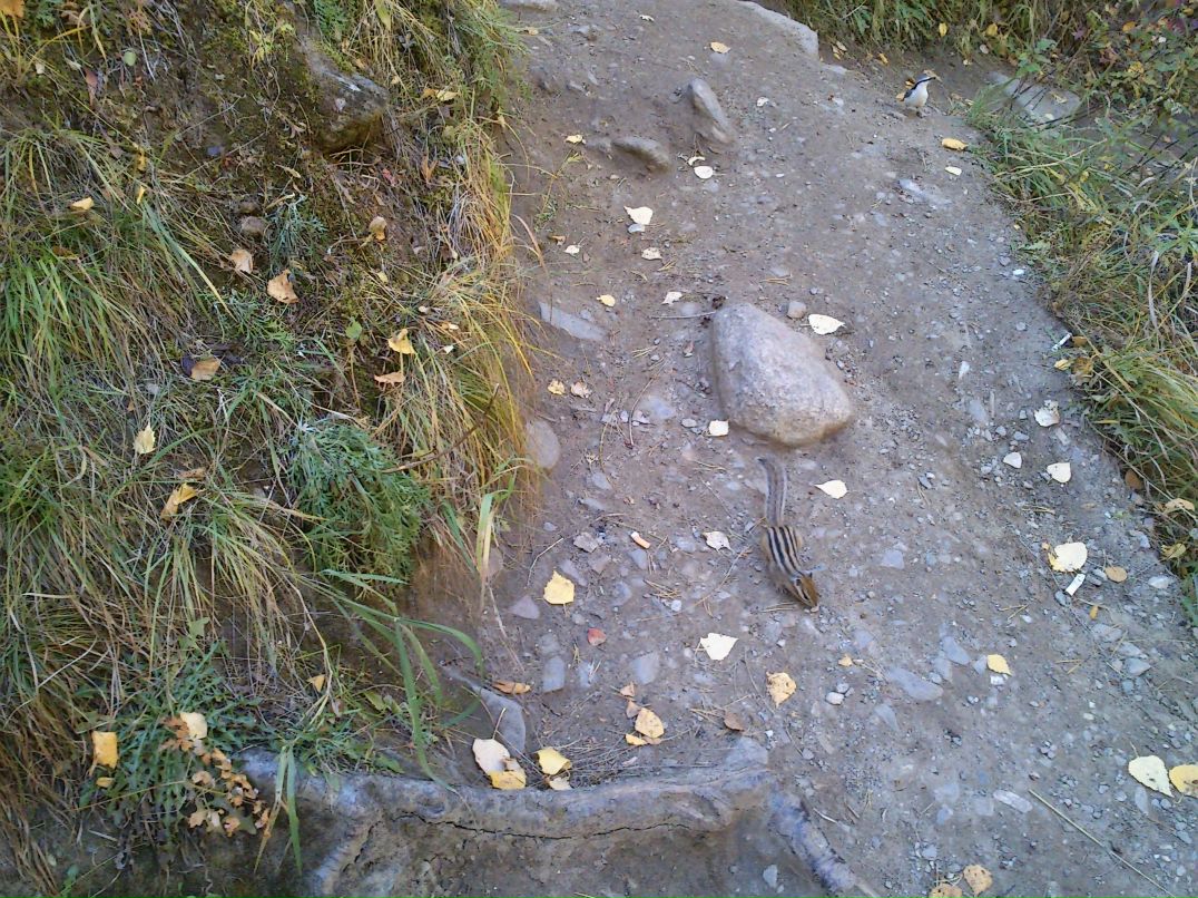 Дмитрий Неруш фотография #24