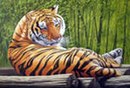 Петро Щуклін фотография #4 (источник - https://vk.com/id148344161)