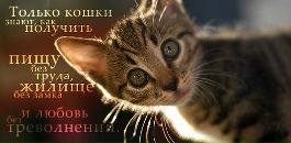 Milen *** фотография #19 (источник - https://vk.com/id137159262)