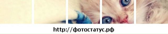 Зінуля Давидюк фотография #21 (источник - https://vk.com/id80303511)