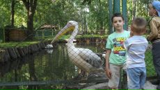 Ростислав Підлісний фотография #7 (источник - https://vk.com/id86905440)