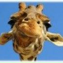 Фотография Герлинской Анастасии