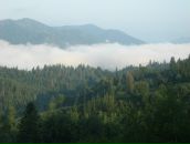 Вікторія Безкровна фотография #6 (источник - https://vk.com/id99148380)