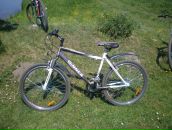 Андрій Свінцицький фотография #12 (источник - https://vk.com/id169470708)