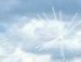 Андрій Величко фотография #27 (источник - https://vk.com/id98885459)