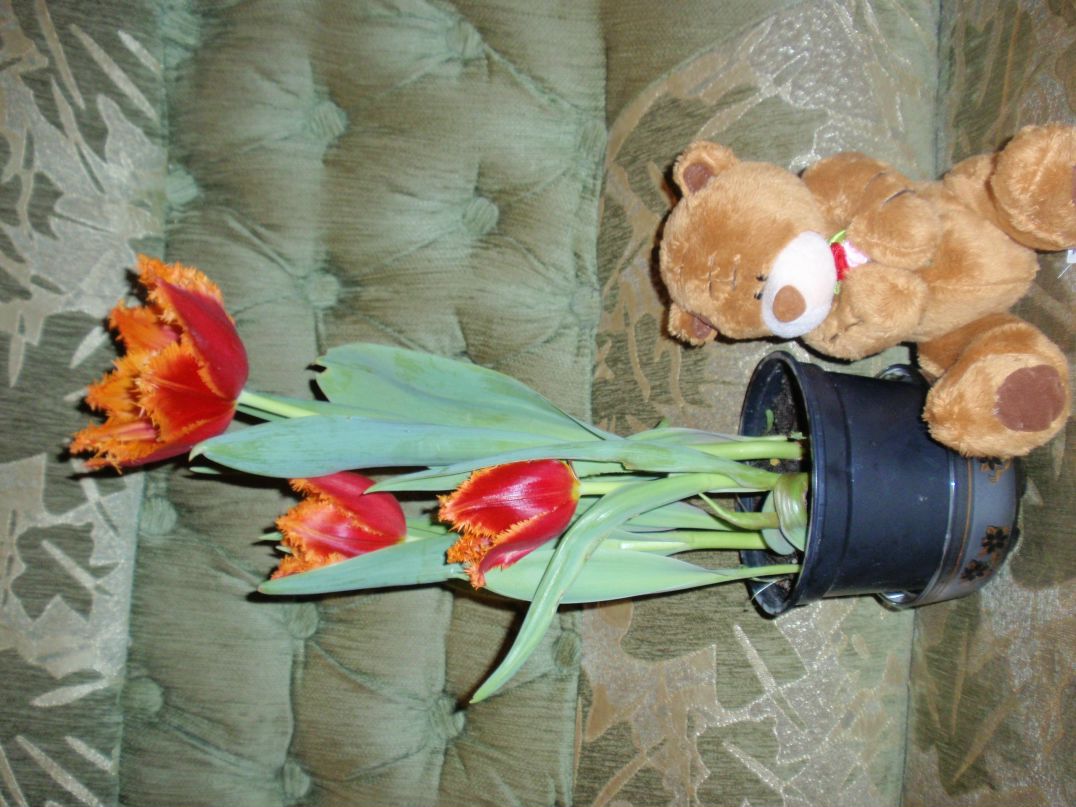 Василиса Лебедева фотография #5