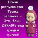 Ілля Музичук фотография #1