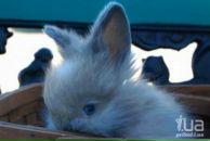 Фотография Дубинич Ирины