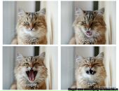 Фотография Василец Ирины