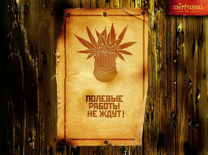 Сергей Сорокин фотография #35