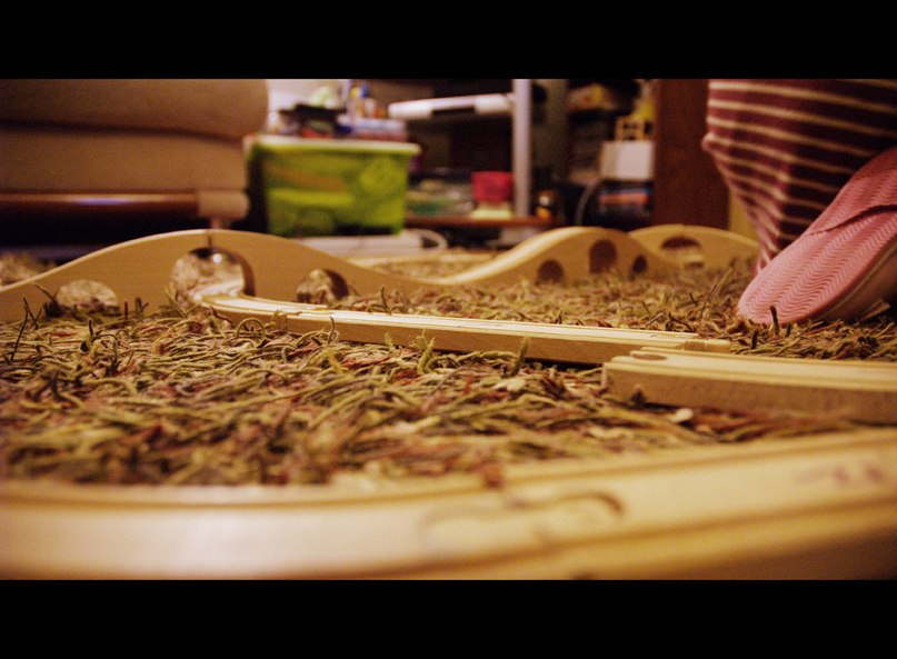 Даниил Король фотография #48