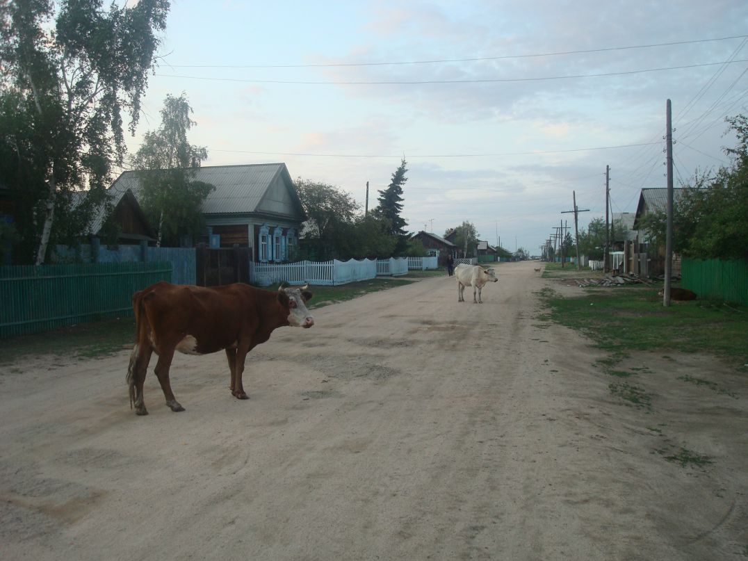 Иван Лавриненко фотография #9