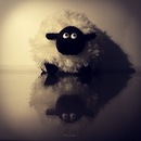 Фотография Лебедева Александра