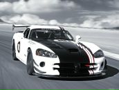 Дмитрий Тищенко фотография #31 (источник - https://vk.com/id194582911)