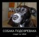  фотография #38