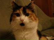 Фотография Поликарповой Елизаветы