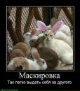 Іванна Мельничук фотография #27 (источник - https://vk.com/id12898392)