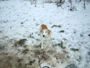 Лайма Двіжова фотография #21 (источник - https://vk.com/id121931071)