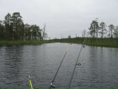 Дмитрий Махин фотография #49 (источник - https://vk.com/id4420455)