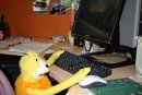 Flat Eric фотография #9 (источник - https://vk.com/id600282)