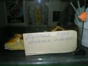 Фотография Ерохина Анатолия