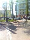 Іван Попович фотография #48 (источник - https://vk.com/id114307623)
