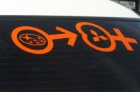 Фотография Пальчака Андрея