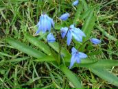 Фотография Байковской Мари