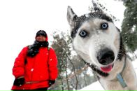 Андрій Каспришин фотография #12 (источник - https://vk.com/id30450210)