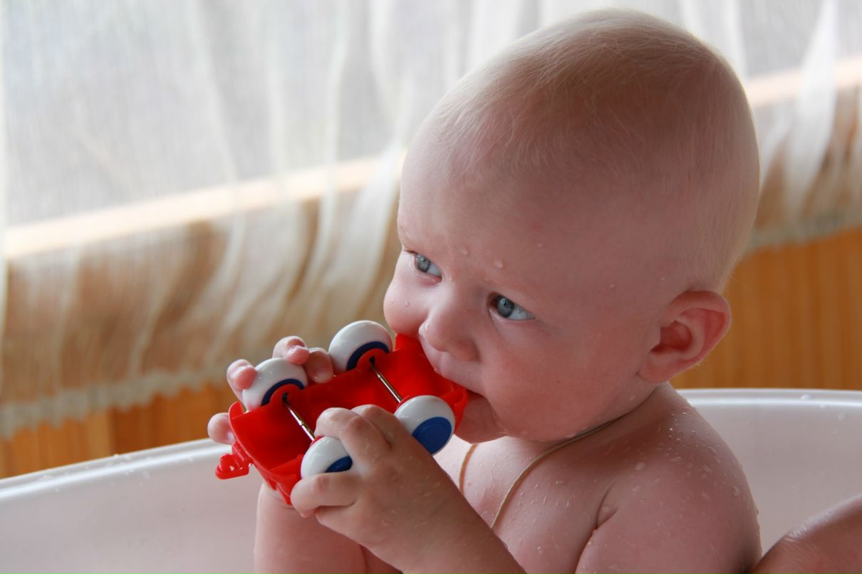 Vasily Katkov фотография #32