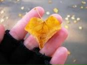 Оксана Мосійчук фотография #10 (источник - https://vk.com/id71601253)