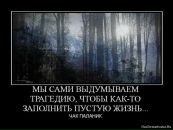Николай Бердников фотография #1