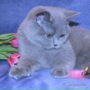 Олеся Пітленко фотография #45 (источник - https://vk.com/id95245153)