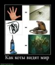 Антон Ефремов фотография #24 (источник - https://vk.com/id11565988)