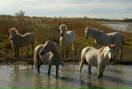 Фотография Зверевой Ирины