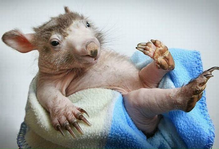 Space Pilot фото №46