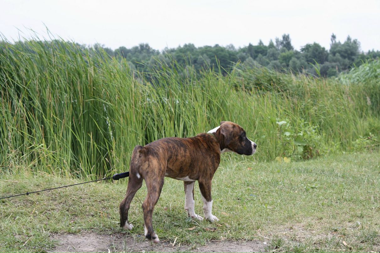 Кирилл Митяев фотография #22