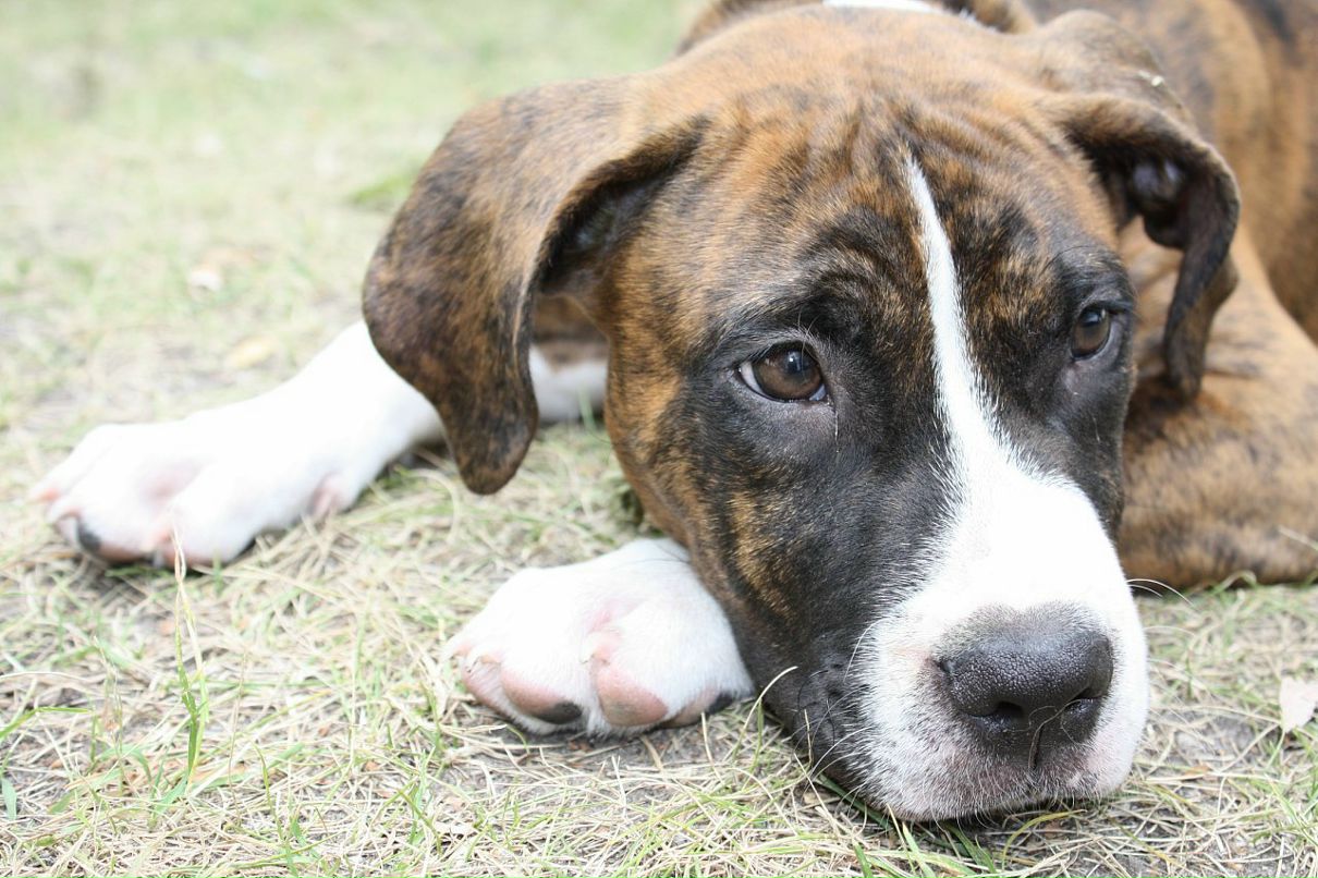 Кирилл Митяев фотография #30