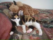 Igor Tarasov фотография #49 (источник - https://vk.com/id2694271)